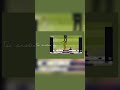 master mind msd#love#cricket#feeling