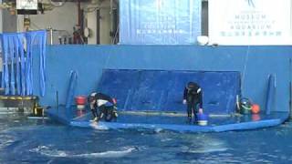 20090526畢旅2-10
