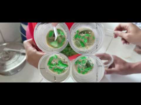 Cendol Dari Rumput Laut