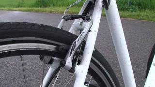 Cross Diamant Elektrofahrrad von Vital Bike im Test