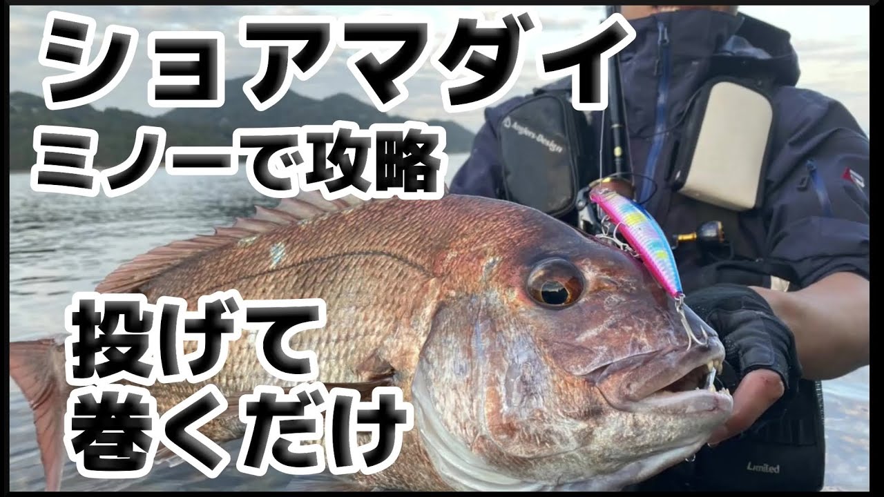 ほんとにショアでマダイなんて釣れるのかい？釣れるのよ！！#5