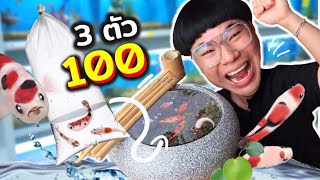 ตะลุยหาปลากัดทั่วเมืองอุบล ได้ปลากัดสุดเจ๋ง 3 ตัว 100 บาท!!!