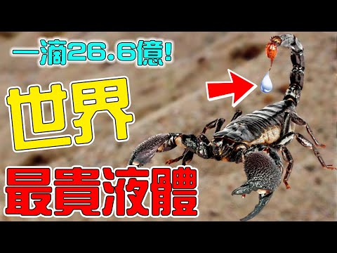 世界上最貴的10種液體！第一名1升需要26.6億！除了“他”沒人能買得起！|#top #top10 #盤點 #出類拔萃 #液体