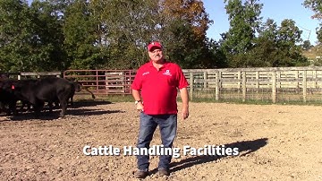 BQA-Cattle Handling Facilities