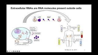 CFDE Public Webinar Series August 29th, 2025 - exRNA
