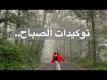 توكيدات ايجابية للصباح طاقة لليوم