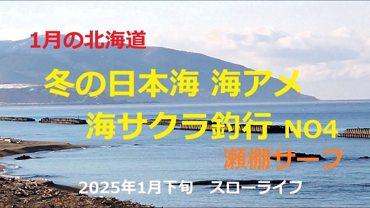 2025年1月下旬 冬の日本海海アメ 海サクラ釣行NO4~IN瀬棚~ - YouTube