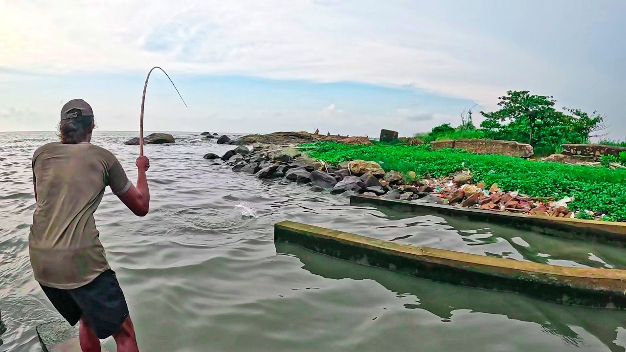 Great! Hardworking Fisherman Catching Big Fish To Sell In Evening Fish Market