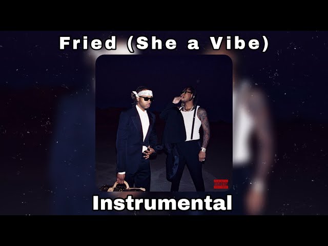 Future & Metro Boomin - Fried She a Vibe (Instrumental) class=