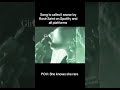 POV: She knows she rare #music #rnb #darkrnb #rnbmusic #lyrics