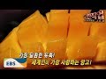 극한직업 - Extreme JOB_세계인의 열대과일- 필리핀 망고 생산현장_#001