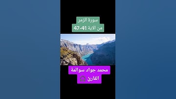 سورة الزمر 41-47: القارئ/محمد جواد سوالمة