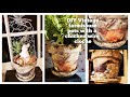 DIY spring farmhouse vintage style plant pot with chicken wire cloche.