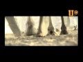 Camel races qatar