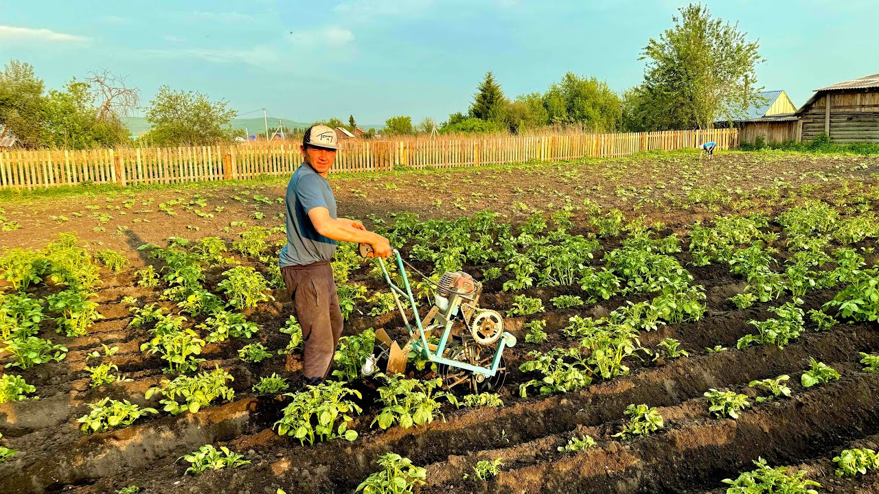 МОТООКУЧНИК В ДЕЛЕ. ОГОРОД СЕЙЧАС НЕ ПРОБЛЕМА. ДАЛЕЕ ОТПРАВЛЯЕМСЯ НА РЫБАЛКУ. РБАЛКА СПИНИНГОМ.