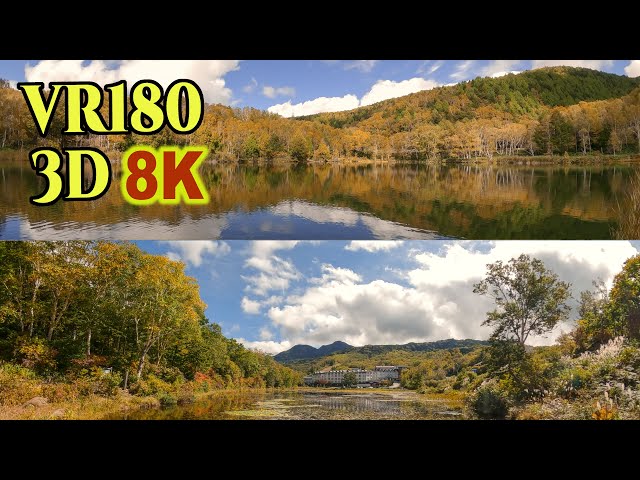 紅葉の賀は賑わいて PR WS】紅葉の賀は賑わいて【RRR】UMA/W106-076ヴァイス
