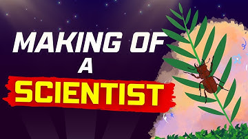 The making of a scientist animation class 10 the making of a scientist animated class 10 2023