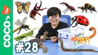 #28 곤충과 파충류, 절지동물이 싸우면 과연 누가 이길까?! insect vs reptile, an arthropod (Collecta figures)