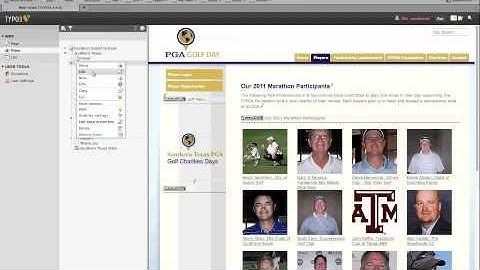 Typo3 - The Page Tree
