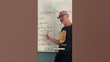 Underactive Thyroid? Stress Could Be the Root Cause!