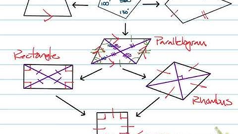 Quadrilateral Flowchart