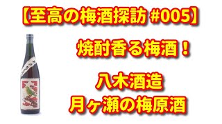 【至高の梅酒探訪 005】八木酒造の月ヶ瀬の梅原酒を飲んでみた！八木酒造　月ヶ瀬の梅原酒