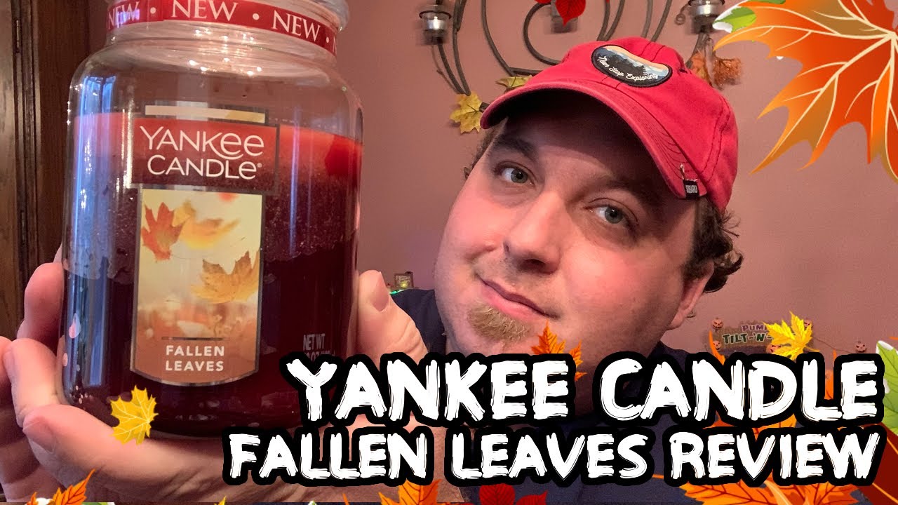 NEW Yankee Candle Fallen Leaves Review Fall 2020 Candle YouTube