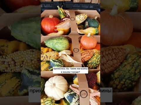 Video: Ֆերմերների շուկաներ Մինեապոլիսում և Սենտ Պոլում