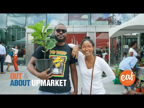 Upmarket at NAPA | Out&About #51