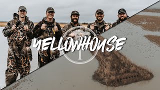 Duck Hunting INCREDIBLE Rice Field Hunt at YellowHouse