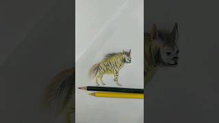 Hyena|Quick Hyena Drawing #shorts #shortsfeed #youtubeshorts #drawing #painting #art #hyena #animals