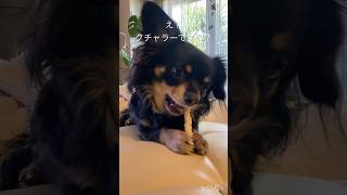 20250216歯磨きガムクチャってました