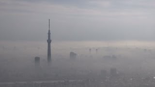 かすむツリーやタワー 東京都心でもや