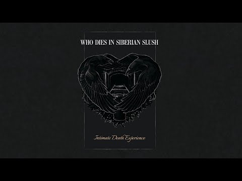 Intimate Death Experience artwork