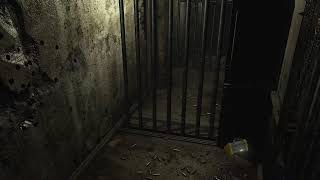 RESIDENT EVIL 0 HD REMASTERED #8 (PT/BR)