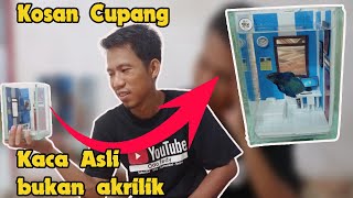Unboxing dan Review Kosan Ikan Cupang, Mirip Kosan Manusia