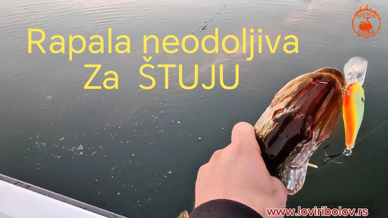 Pecanje Stuke. Rapala ubija, štuki neodoljiv zalogaj