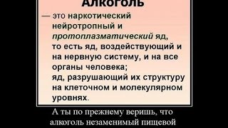 Механизм обмана. Как людей приучали 