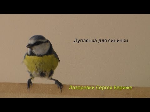 Как сделать дуплянку для синиц