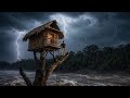 80 Days of Survival in a Wet Treehouse, Alone Against a Tropical Storm, Bushcraft Skill