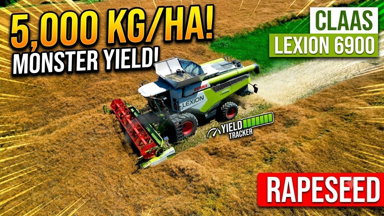 Claas Lexion 6900 Harvesting Rapseed | Impressive 5,000 kg/ha