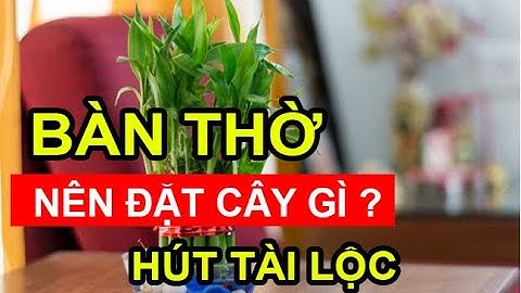 Những loại CÂY MAY MẮN đặt trên BÀN THỜ, gia chủ làm gì cũng hanh thông | Phong Thủy Người Việt