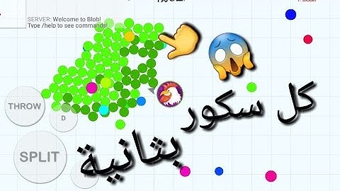كيف تدعم سريع بلوب | Blob.io