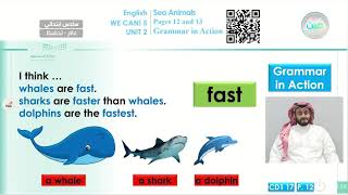 unit :sea animals lesson:grammar action - اللغة الإنجليزية - سادس ابتدائي