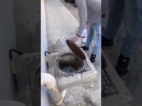 رش مبيدات قوية في غرف التفتيش للقضاء على الصراصير