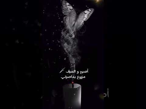 كاظم الساهر فراشة جئت