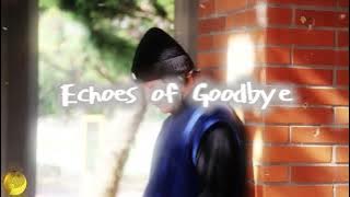🌧️ Echoes of Goodbye🎙️ Lucas Hayward #EchoesOfGoodbye #SadSong #EmotionalMusic #Heartfelt
