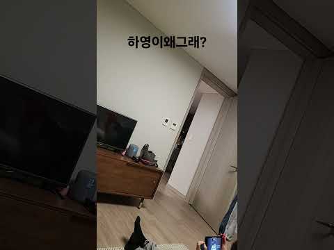 서운해질려합니다 ㅠㅠ
