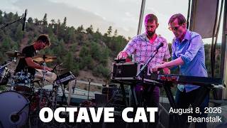 Octave Cat- Live at Beanstalk Music Festival 2026 (FULL SET)