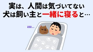 人間が犬にやりたいことに関する雑学 #犬 #雑学 #聞き流し #睡眠 #癒し #いぬのきもち #犬のいる暮らし